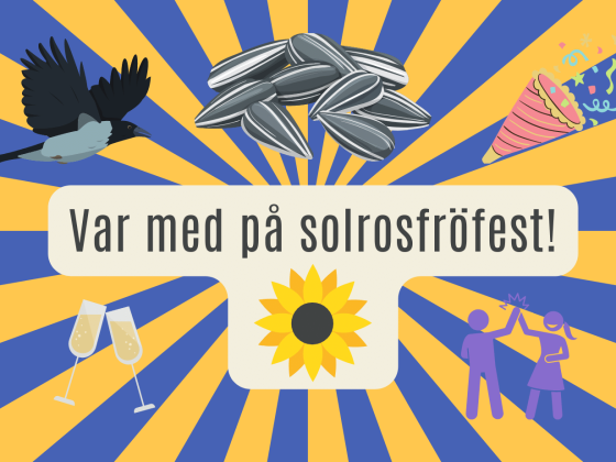 Solrosfröfest