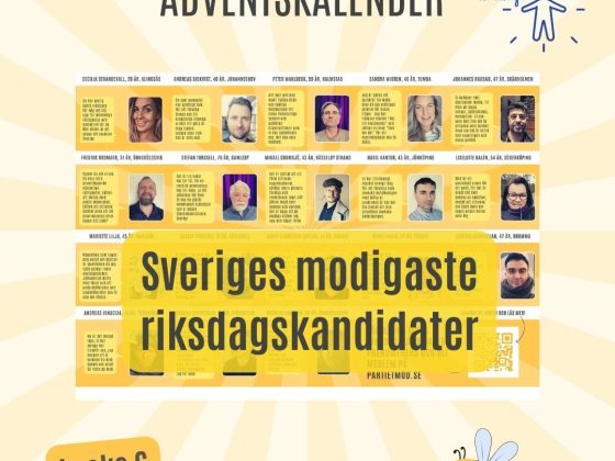 🇸🇪 Lucka 6 | Sveriges modigaste riksdagskandidater 10 1