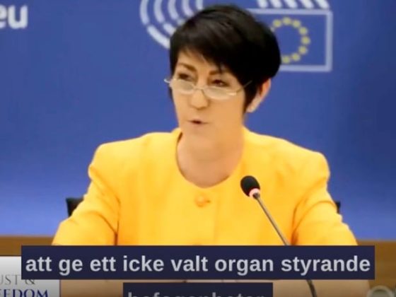Christine Andersson mobiliserar för demokrati: En kraftfull uppmaning mot globala maktövertaganden i EU-parlamentet 3 Christine andersson eu