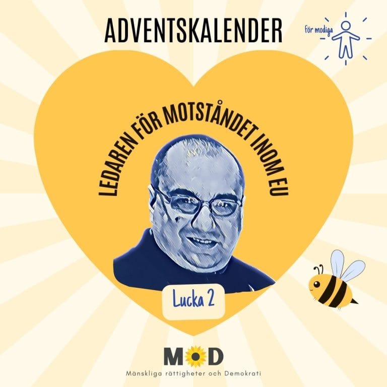 ⛄️ Lucka 2 | EU:s modigaste man!?! | Christian Terhes