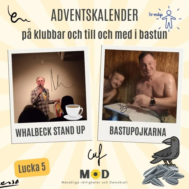 🎉 Lucka 5 | Kråkfesten som ledde till en solrosfröfest!  Så här fixade vi 1600 kråkor på tre veckor!