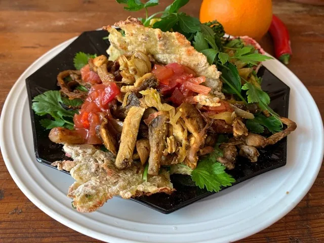 Läkande kost: Pulled ostronskivling med kebabkrydda i potatiswraps, sallad på färska örter och apelsin.