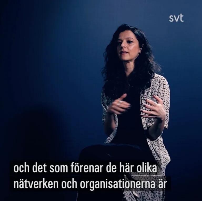 Granskningsnämnden prövade inte MoDs anmälan av SVT Nyheters inslag som påstod att Fredsalliansen har en vilja att omkullkasta demokratin