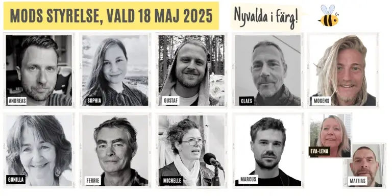 MoDs nya styrelse, vald vid årsstämman 18 maj 2025 i Bagarmossen