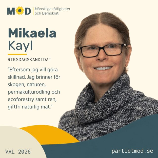 🌻 Möt Mikaela Kayl, riksdagskandidat för MoD

För Mikaela Kayl är kandidaturen för MoD hennes första steg in i partipolitiken.
Drivkraften är enkel: hon vill göra skillnad.
Mikaela brinner särskilt för skogen och naturen, giftfri odling och mat samt människors möjlighet att själva bestämma över sina liv.

🌱 Hon är engagerad i permakulturodling och skogsbruk med ekologiska principer och vill se ett samhälle där vi tar större hänsyn till de naturliga kretsloppen och de resurser vi är beroende av.
🥕 En annan hjärtefråga är tillgången till ren och giftfri mat.
🌲 Mikaela vill också lyfta frågor om skogen och samernas rättigheter som urfolk.
❤️ Inom hälsa engagerar hon sig för friskvård, alternativa behandlingar och individens självbestämmanderätt. Hon vill även se en mer relationell skola med större fokus på människan bakom eleven.

💬 Varför kandiderar hon för MoD?
”Eftersom jag vill göra skillnad. Jag brinner för skogen, naturen, permakulturodling och ecoforestry samt ren, giftfri naturlig mat.”

Även om detta är Mikaelas första politiska kandidatur är hon van vid att uttrycka sig. Hon har tidigare skrivit artiklar och böcker och är bekväm med att möta människor och tala offentligt.
Nu vill hon använda den erfarenheten för att föra in frågor hon tycker får för lite utrymme i politiken.

🗳️ Den 13 september kandiderar Mikaela Kayl till Sveriges riksdag för MoD.

💛 Hjälp gärna fler att lära känna människorna och idéerna bakom MoD. Dela inlägget vidare.

#MoD #Val2026 #MikaelaKayl #Skogen #GiftfriMat #Permakultur #Självbestämmande #Hälsa