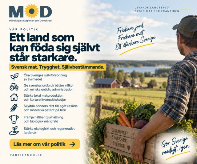 🌾 Ett land som kan föda sig självt står starkare.
Mat är mer än en vara. Det är hälsa, beredskap och självbestämmande.
MoD vill minska Sveriges sårbarhet och bygga ett livsmedelssystem med fler svenska bönder, mer lokal produktion och kortare vägar från jord till bord. 

MoD vill:
🇸🇪 Öka Sveriges självförsörjning av livsmedel
🚜 Ge små och medelstora svenska jordbruk bättre villkor och minska onödig administration
🌱 Stärka ekologiskt, närproducerat och regenerativt jordbruk
🐄 Ge gräsbetande djurhållning och hållbara jordbruksformer bättre förutsättningar
🏡 Stärka lokal matproduktion, gårdsförsäljning och kortare livsmedelskedjor
🌾 Skydda bönders rätt att spara, använda och förädla eget utsäde och motverka patent på frön
🧬 Kräva tydlig märkning, spårbarhet och säkerhetsprövning av nya genetiska tekniker
🧪 Skärpa reglerna för bekämpningsmedel och fasa ut glyfosat i svensk livsmedelsproduktion
🐝 Stärka biologisk mångfald, jordhälsa och naturliga kretslopp. 

Svenska bönder producerar inte bara vår mat. De är en viktig del av Sveriges beredskap och självständighet.
Vi vill flytta makten över maten närmare bönderna, konsumenterna och lokalsamhällena.
Friskare jord. Friskare mat. Ett starkare Sverige. 🌱🇸🇪

👉 Läs hela MoDs politik om mat, jordbruk och självförsörjning via länken till valmanifestet i bion.

📣 Tycker du att fler perspektiv behövs i samhällsdebatten? Dela gärna inlägget så att fler får ta del av vår politik.

🗳️ Har du redan förtidsröstat? Du kan ändra din röst genom att rösta på nytt i din vallokal på valdagen 13 september.

#MoD #SvensktJordbruk #Självförsörjning #SvenskMat #Lantbruk #Livsmedelsberedskap #Landsbygd #Val2026
